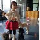 루이야 학교가자 이미지