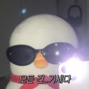 우리 같이 책놀이(하반기) | 8/1(금)~8/11(월) 일상 : 흠뻑쇼 후기 / 둘씨집들이 / 데브챗 / 독서모임