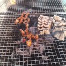 풍동농장 이미지