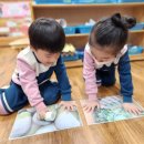 숲의 이야기를 들어볼래? | [광주 남구 어린이집] 만2~5세 🥕 가을 들판에서 만난 특별한 때하루, 무 뽑기 체험! 🍂