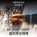 까르르스타&해피루키 웨딩컨벤션 이미지