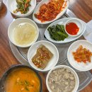 황산산오리 이미지