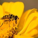 드라마 영어 이미지