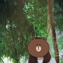 CU김포하사리점 이미지