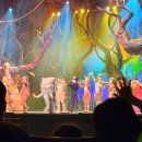 어울림 소극장 | 고양 정글북 뮤지컬 - 6살 하루의 첫 뮤지컬 공연 관람 후기