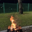 곤충나라 사과테마파크 오토캠핑장 이미지