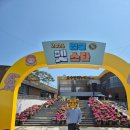 임실유전자센타 | [임실] 2026 임실 펫스타 오수축제 다녀온 후기
