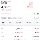엘비제이