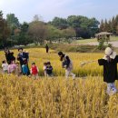 은새유치원 이미지