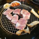 탄탄숯불구이