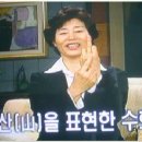 수화 이미지