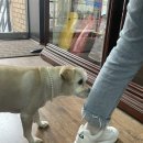 공주악기사