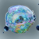 편한한방병원 이미지