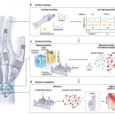 (주)네이쳐 엔지니어링 이미지