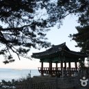 명태덕장 이미지