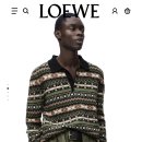 폴로하우스 | [Loewe] 폴로 스웨터 &amp; 베네세 하우스 파크 간단후기🤔