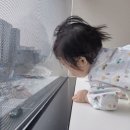 경기도 수원시 팔달구 권광로 138 (인계동, 수원시청역 선경센트럴파크) | 수원/인계동 입원가능한 어린이 병원 아이편한병원 11개월 아기 폐렴 입원