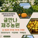 제주에프앤비