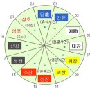 오장육부 이미지
