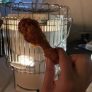 포천 비둘기낭 캠핑장 이미지