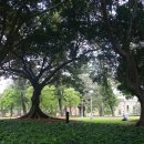 나무그늘파크(park) 이미지