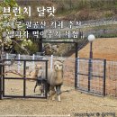 가산흑염소 | 대구 팔공산 이시아폴리스 근처 아기랑 가볼만한 카페 <브런치달랏> 알파카 먹이주기 체험 후기
