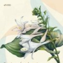 색연필 꽃그림, 보타니컬 아트 이미지