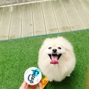 베럴즈