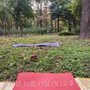 헬로비디야 이미지