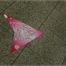 Re:제 16회 일산 꽃 박람회 폐막식 및 야간분수쇼 번개장소 가는길. 이미지