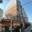 강신초교 이미지