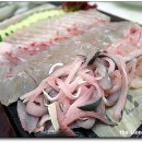 일차횟집 이미지