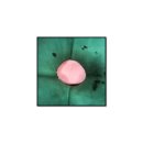 S동물의료센터 이미지