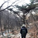 벌스타일