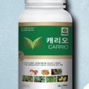 글로벌방제 - 남구 용연로 295-109 | 글로벌방제