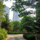 단지내금호코너공인중개사사무소 | 남양주 퇴계원 별내동 퇴계원역 사거리 버스정류장앞대로변 1층 코너상가 임대