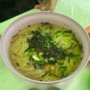 양춘만 | 2026 🌱양평 산나물축제🌱 첫날 방문 후기!