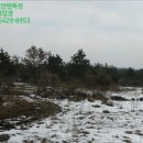 색달동-11 이미지