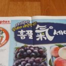 홈플러스투어