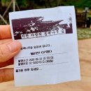 서천 마량리 동백나무 숲 이미지