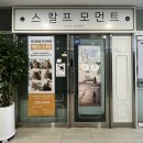 스칼프모먼트
