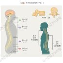 몸편한보건안마원 이미지