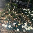 신난다노래광장 - 평택시 고덕중앙로 200-33 | 신난다노래광장