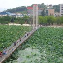 전주 덕진공원의 연꽃과 음악분수 이미지