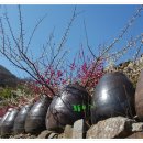 구례농장 이미지