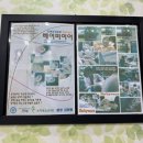 6개월 아기 귀 교정 | 연세수소아청소년과 상담 후기