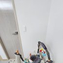 제주 이제이집 | 제주도 키즈펜션 아이랑숙소 제주 바닷가하우스 후기