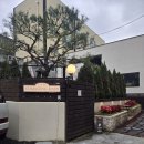 세븐일레븐 안성석정제일점 | 안성 분위기 좋은 크리스마스 카페 슈티뭉하우스