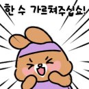 비바테니스
