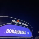 보라해